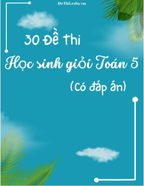 Bộ 30 Đề thi học sinh giỏi Toán Lớp 5 (Có đáp án)